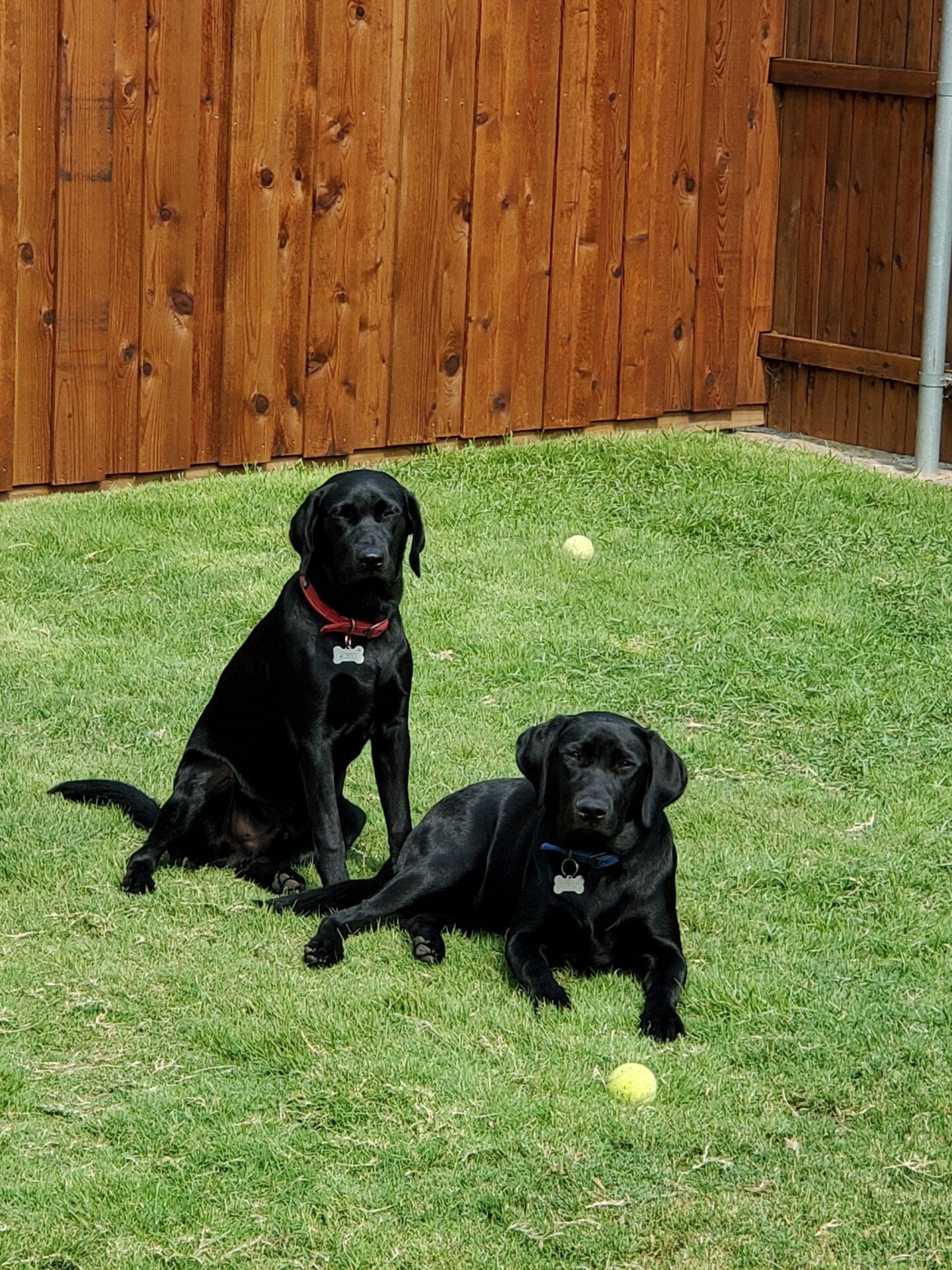 Custom Service:Pet Portrait Artwork Abstract Painting Portrait Oil Painting Landscape Oil Painting,Stretch The Service And Install The Frame